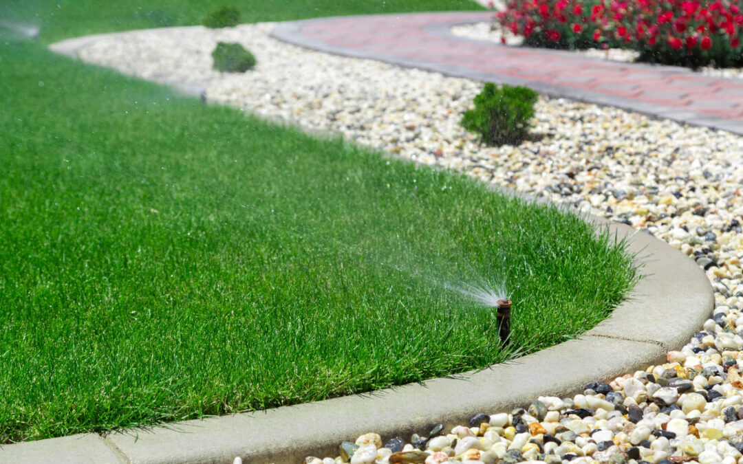 The Complete Guide to Irrigation Installation and Repair Franchise Opportunities: Investment Potential and Industry Forecast