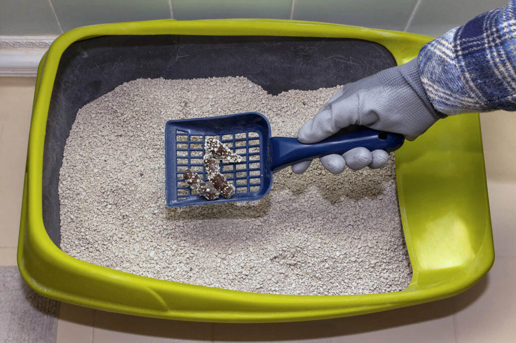 The Complete Guide to Pet Waste Removal Franchise Opportunities: Investment Potential and Industry Forecast