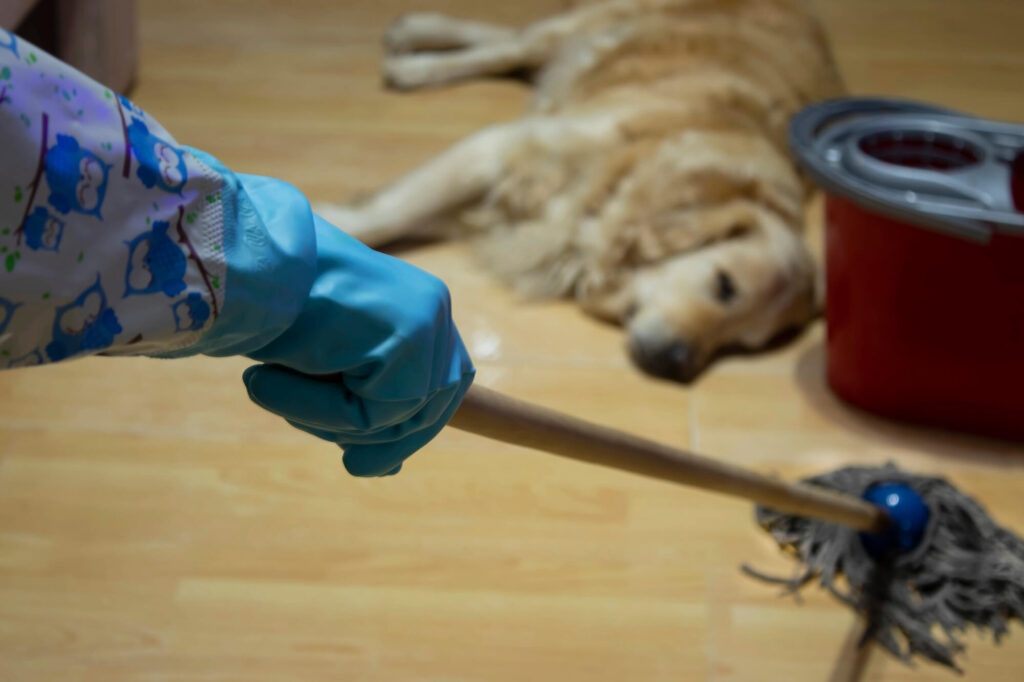 The Complete Guide to Pet Waste Removal Franchise Opportunities: Investment Potential and Industry Forecast