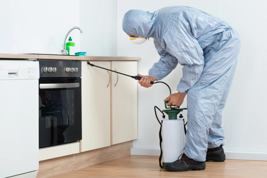 The Complete Guide to Termite Control Franchise Opportunities: Investment Potential and Industry Forecast