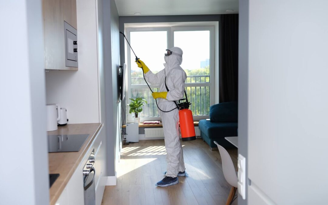 The Complete Guide to Termite Control Franchise Opportunities: Investment Potential and Industry Forecast